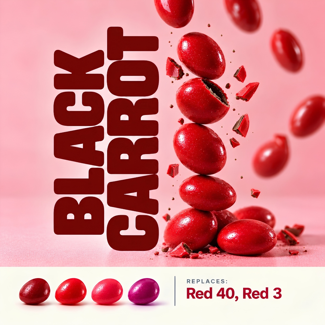 Red panned chocolate lentils colored with black carrot, shown in deep red, bright red, pink and purple